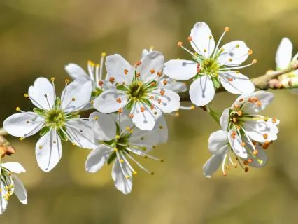 Mindfully Focusing On Your Senses
