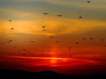 Mindfully Investigating Pain & Irritation