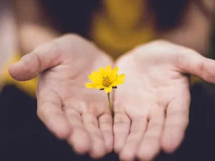 Mindfully Meditating On Expectations Versus Reality - 9 Minutes