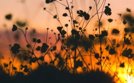 Mindfully Wrap Up Your Day