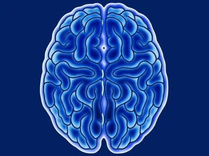 Mindful Leader - Seat & Feet