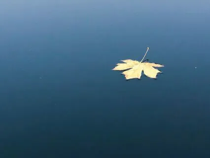 Mindfulness 3 – Observing Thoughts