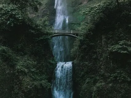 Mindfulness 9 – Wisdom Of The Mind