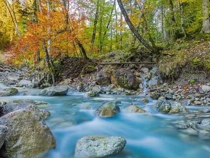 Mindfulness - A Beginner's Body Scan Meditation