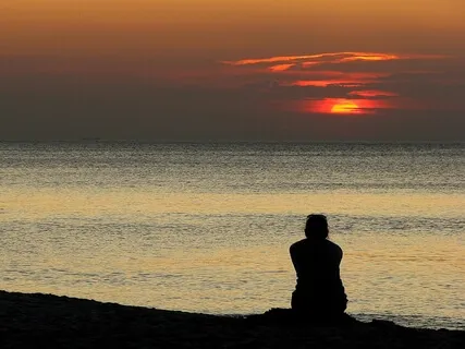 Puro Mindfulness: Discernimento & Insight