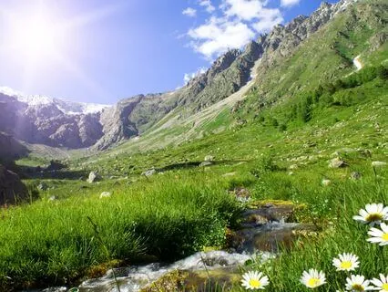 Mindfulness: Anchored Breathing For An Anxious Mind