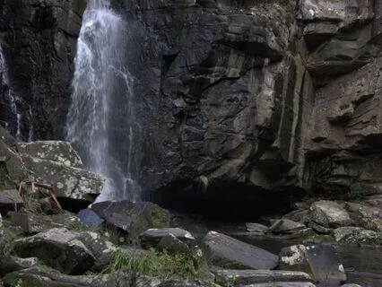 Mindfulness And Compassion In Nature