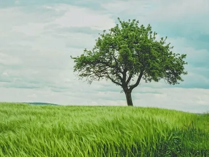 Mindfulness & Metaphysics 03 - A Talk & Commentary