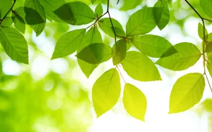 Mindfulness & Visualization For Endo & Period Pain