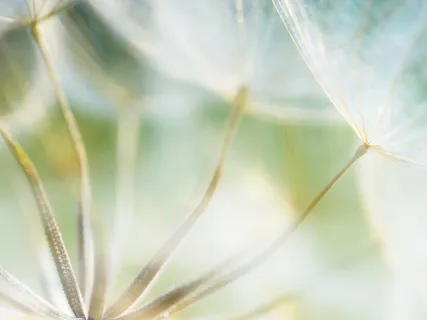 Mindfulness As A Refuge In Times Of Uncertainty