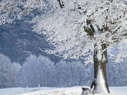 Mindfulness As Self-care, Part 1: Focus