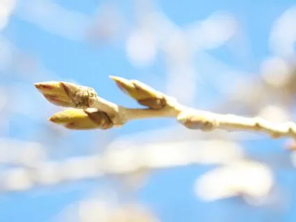 Mindfulness As Self-care, Part 2: Values