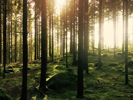 Mindfulness At Work: Breathing