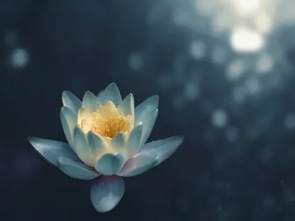 Mindfulness At Work: Gratitude