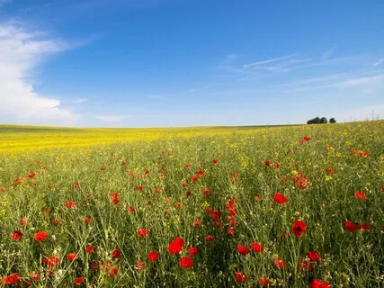 Mindfulness @ Work | Office Music For Stress Relief