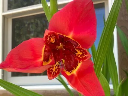 Mindfulness Based Loving Kindness