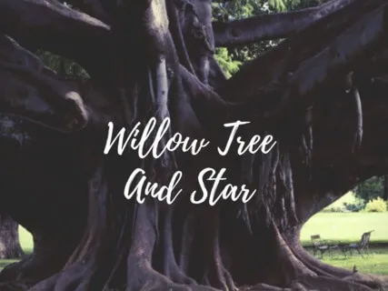 Mindfulness Bedtime Story: Willow Tree And Star