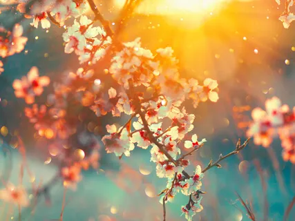 Being With The Existence