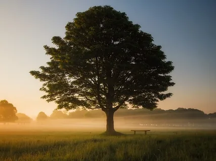 Mindfulness Body Scan: MBSR