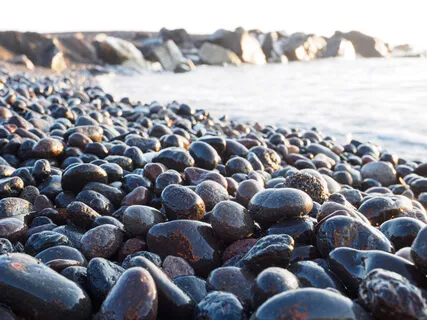 Nourishing Mindfulness Body Scan