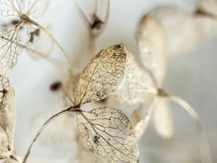 Mindfulness Breathing To Relieve Stress And Anxiety