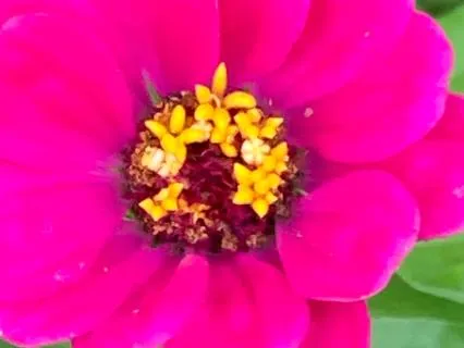 Mindfulness Meditation For Gaining Insight In Our Day To Day