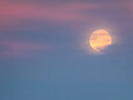 Mindfulness Check Up