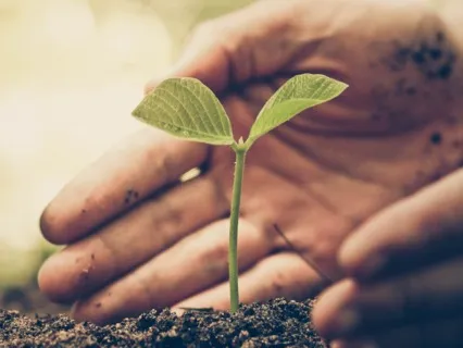 Mindfulness Classics: Walking Practice