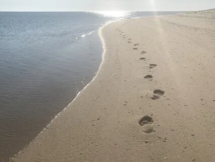 Mindfulness da Respiração