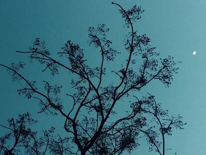 Mindfulness do Corpo