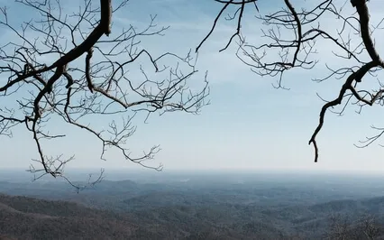 Mindfulness, Equanimity & The Cardinal