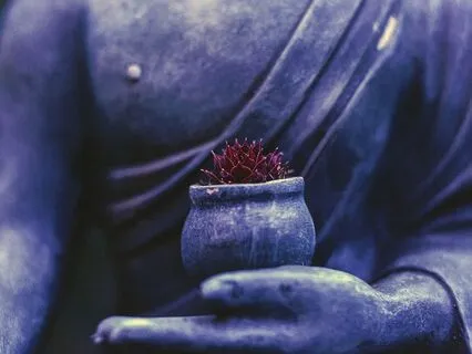 Mindfulness Facilitation, Enhanced Concentration