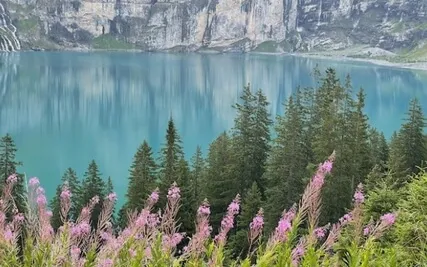 Mindfulness Focus Practice: Introduction 5 Minutes (slow)