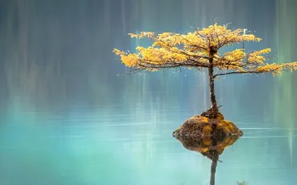 Mindfulness For Anger