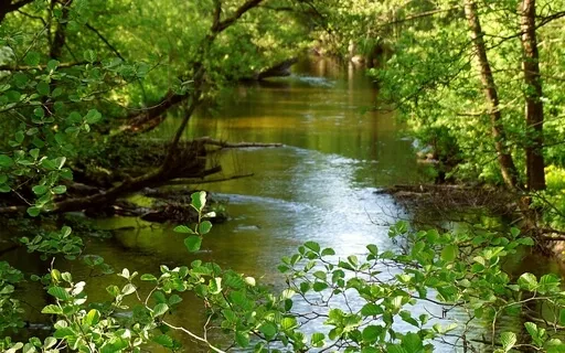 Mindfulness For Anxiety And Stress Through Breath