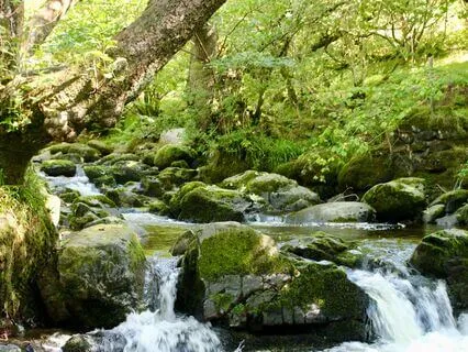 Mindfulness For Anxiety In Times Of Uncertainty