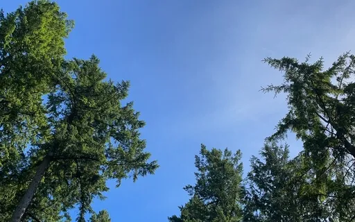 Mindfulness For Brain Injury: You Are Always In Choice