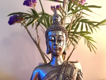 Mindfulness For Challenging Times (Talk)