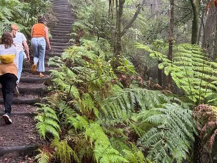 Mindfulness For Climate Stress