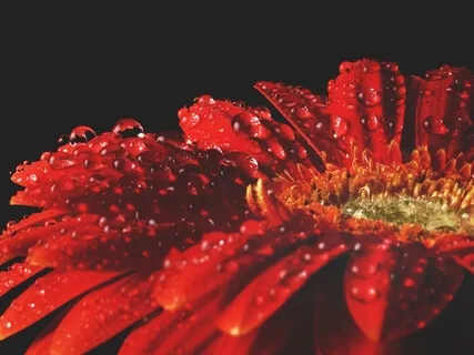 Mindfulness For Couples | Looking Deeply