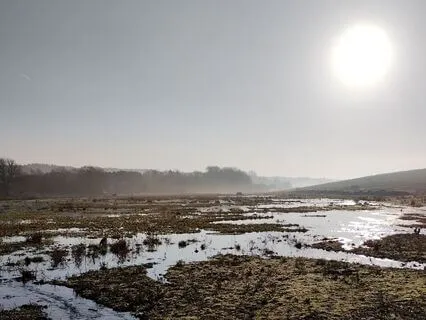 Mindfulness For Cultivating Presence Through Stillness