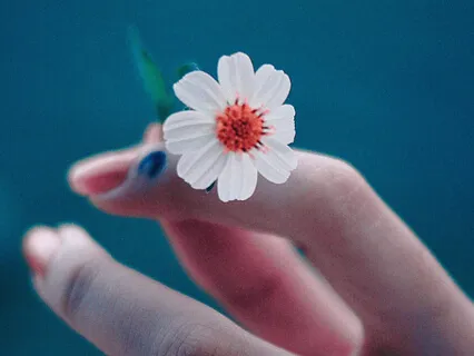 Mindfulness For Establishing Daily Practice