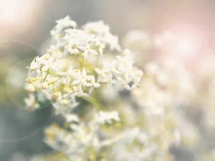 Mindfulness For Facing A Stressful Day