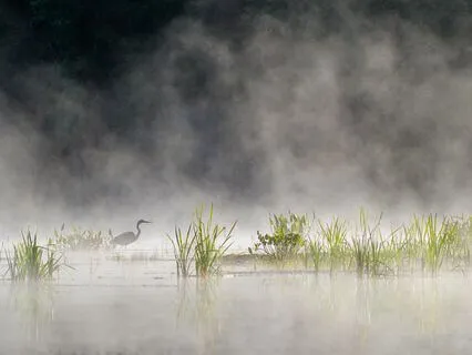 Mindfulness For Grounding, Calm, And Spaciousness