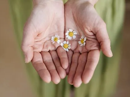 Mindfulness For Healing Series (1/7): Cultivate Connection