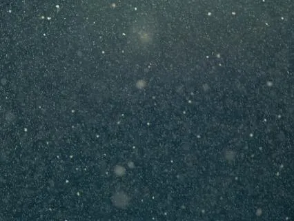 Mindfulness For Reactivity: New Snow