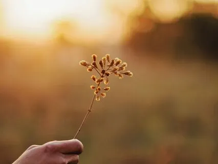 Mindfulness For Releasing Anxiety