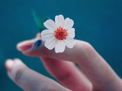 Mindfulness For Releasing Attachment To Emotions