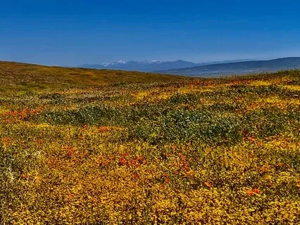 Mindfulness For Returning To The Present Moment