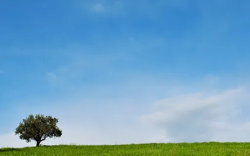 Mindfulness For The Workplace - Pressing The Pause Button